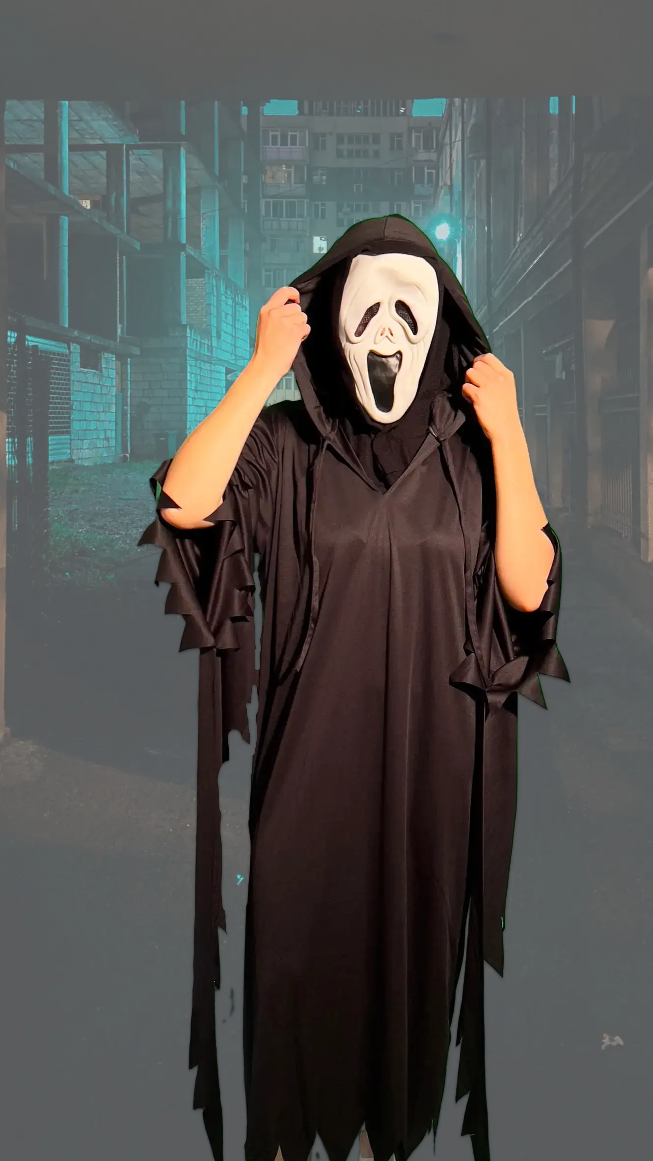 Image Chouette Déguisement