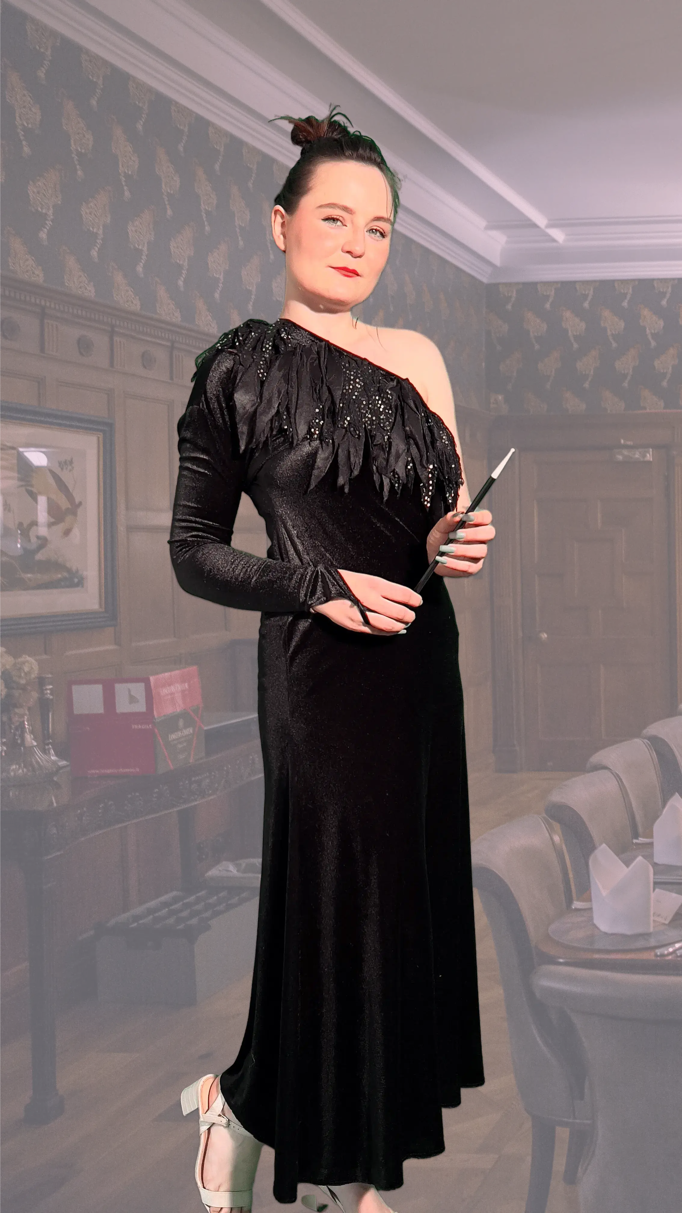 Image Chouette Déguisement