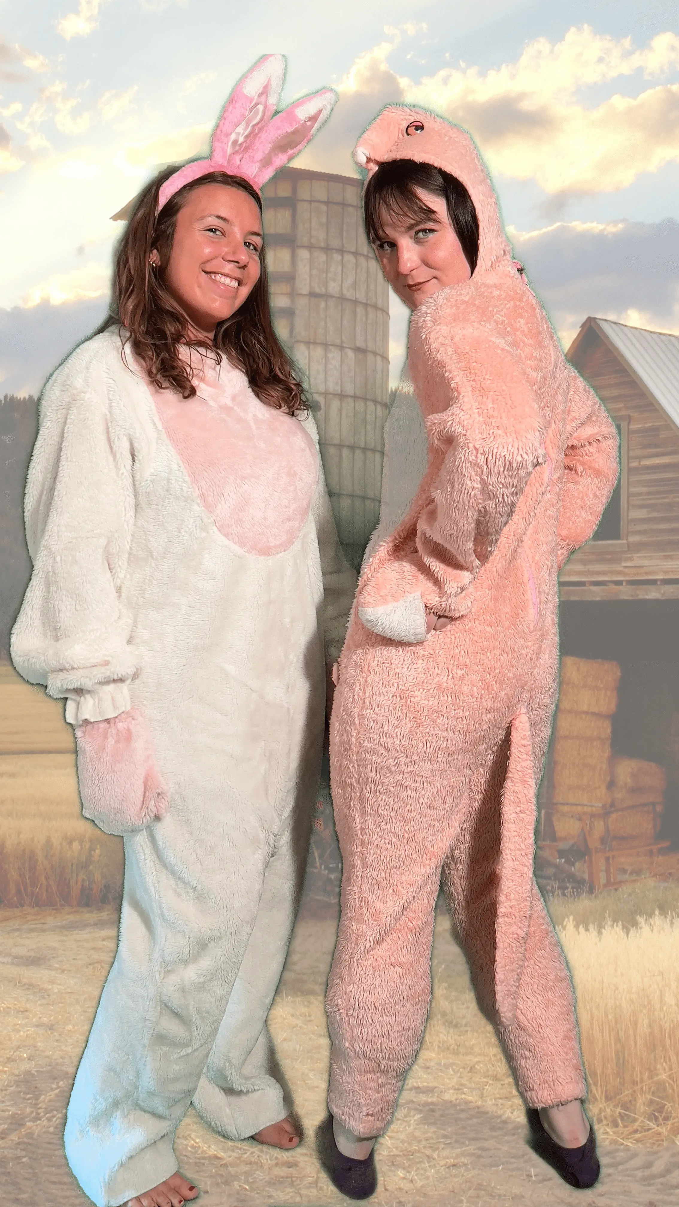 Image Chouette Déguisement