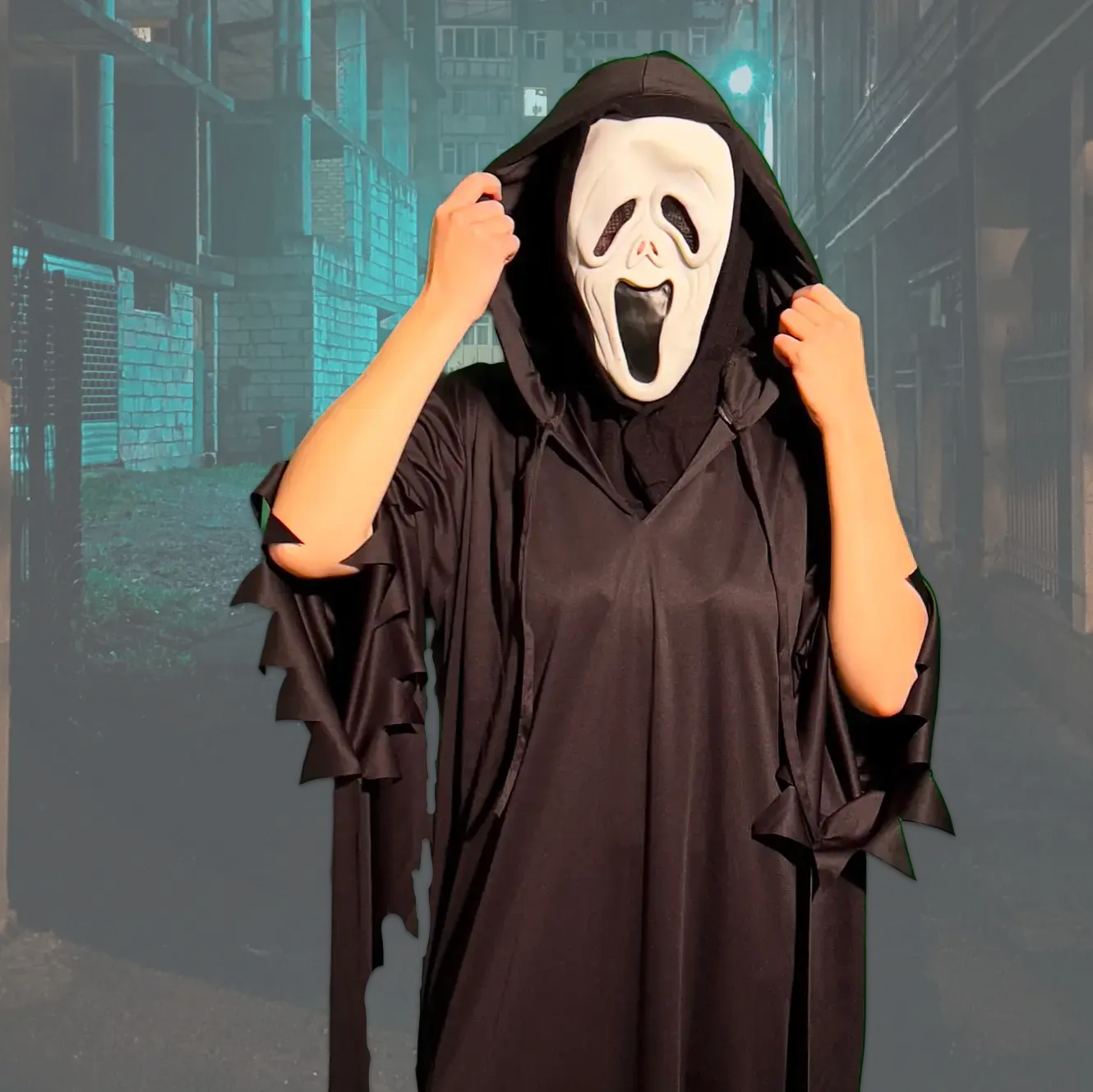 Image Chouette Déguisement