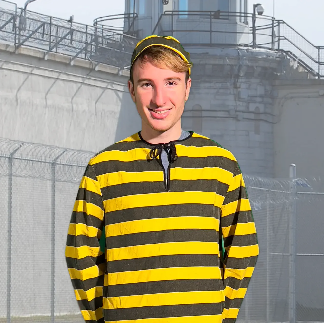 Image Chouette Déguisement